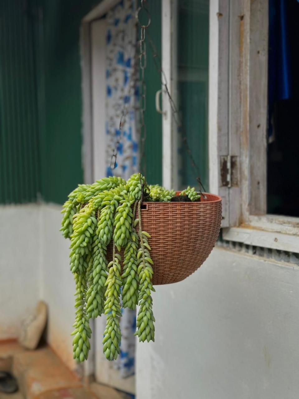 Eviana Homestay Dardżyling Zewnętrze zdjęcie